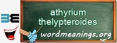 WordMeaning blackboard for athyrium thelypteroides
